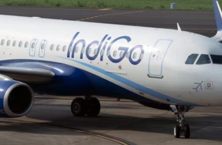 पटना में इंडिगो विमान की इमरजेंसी लैंडिंग, पक्षी से टकराने के कारण हुआ हादसा