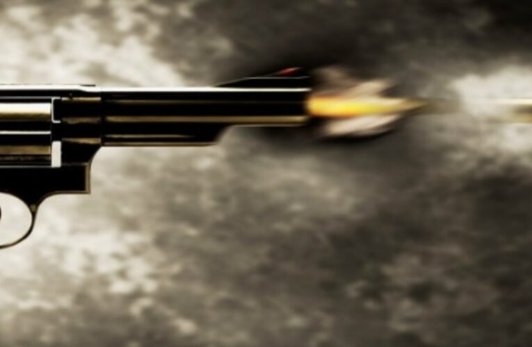 पटना में दिनदहाड़े सनसनीखेज वारदात: अपराधियों ने बीच सड़क पर महिला को मारी गोली, हालत गंभीर