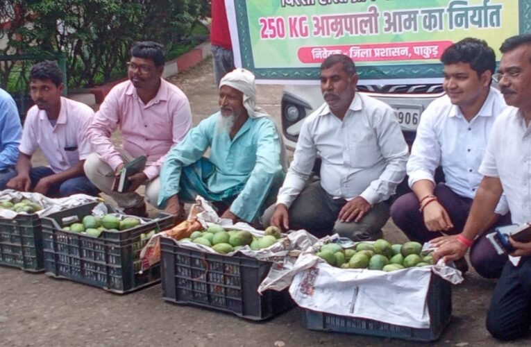 झारखंड के आम ने बनाई सऊदी अरब में पहचान: बिरसा हरित ग्राम योजना के तहत पहली बार निर्यात