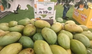 झारखंड के आम ने बनाई सऊदी अरब में पहचान: बिरसा हरित ग्राम योजना के तहत पहली बार निर्यात 5 20250723 154406