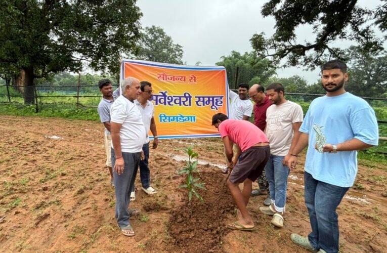 श्री सर्वेश्वरी समूह द्वारा सिमडेगा और रांची में 800 पौधों का रोपण व वितरण