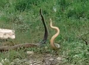 Screenshot 20250715 125755