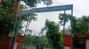 Screenshot 20250731 162250