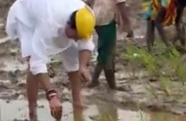 तेज प्रताप यादव ने खेत में की धान की रोपनी, किसानों से की मुलाकात