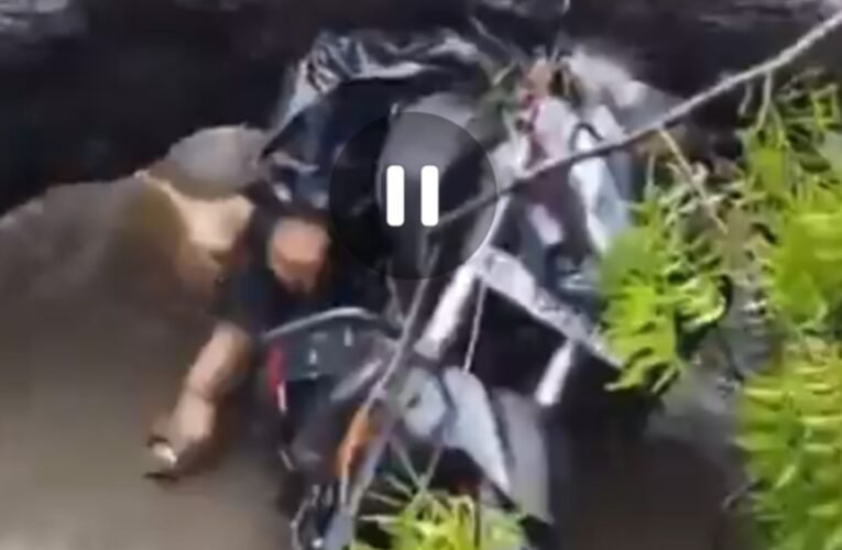 दिल्ली के कालकाजी में दर्दनाक हादसा: पेड़ गिरने से एक की मौत, दो जख्मी