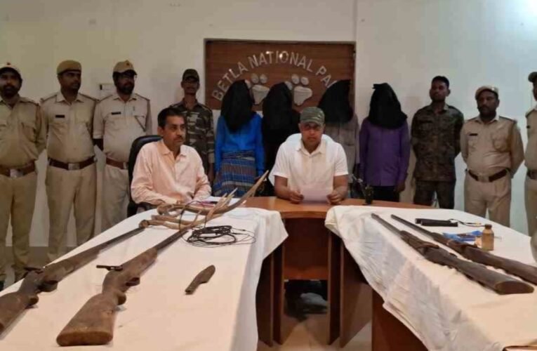 बेतला नेशनल पार्क में वन विभाग की बड़ी कार्रवाई, चार शिकारी गिरफ्तार, हथियार और हिरण के सींग बरामद