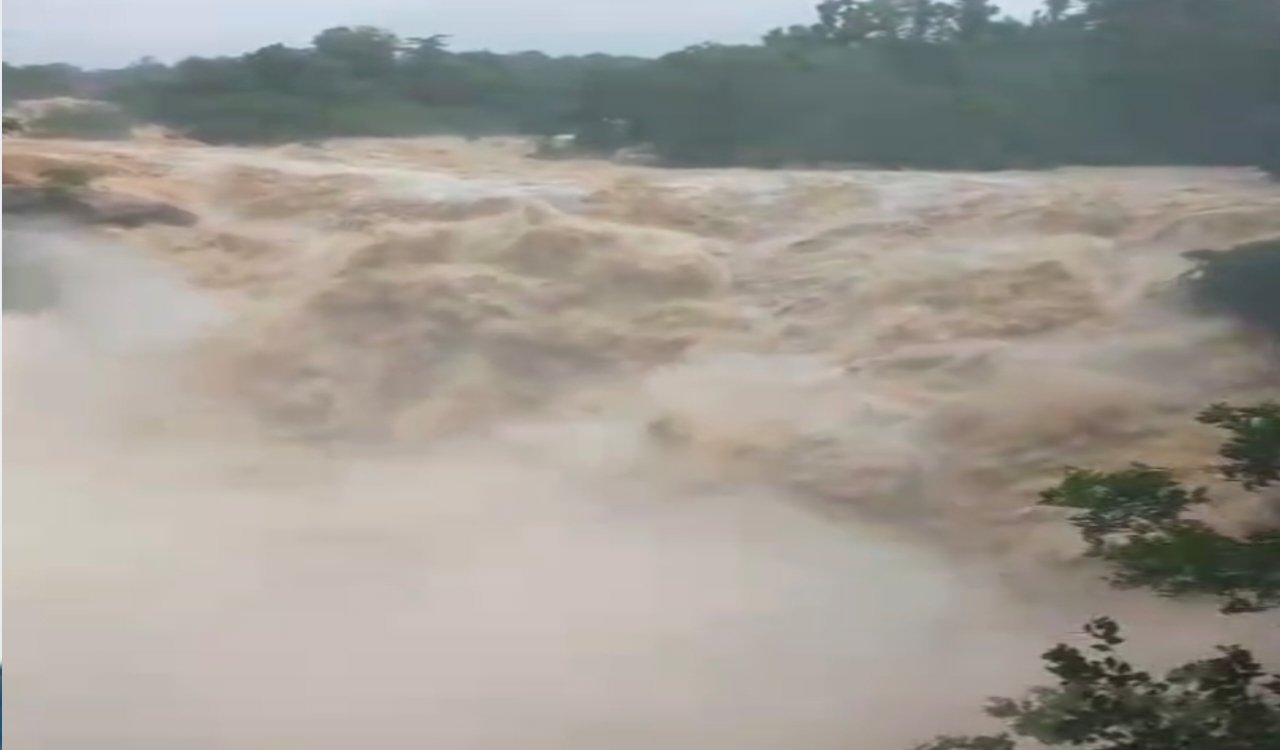 अगर आप रांची के खूबसूरत जलप्रपातों को देखना और वहां घूमना चाहते हैं तो अभी हो जाए सतर्क क्योंकि जलप्रपातों उफान पर , पर्यटकों की छोटी सी भूल बन सकती है पर एक खतरे की निशानी... 4 20250824 131255