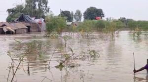 Screenshot 20250811 163651