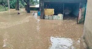 Screenshot 20250822 134632