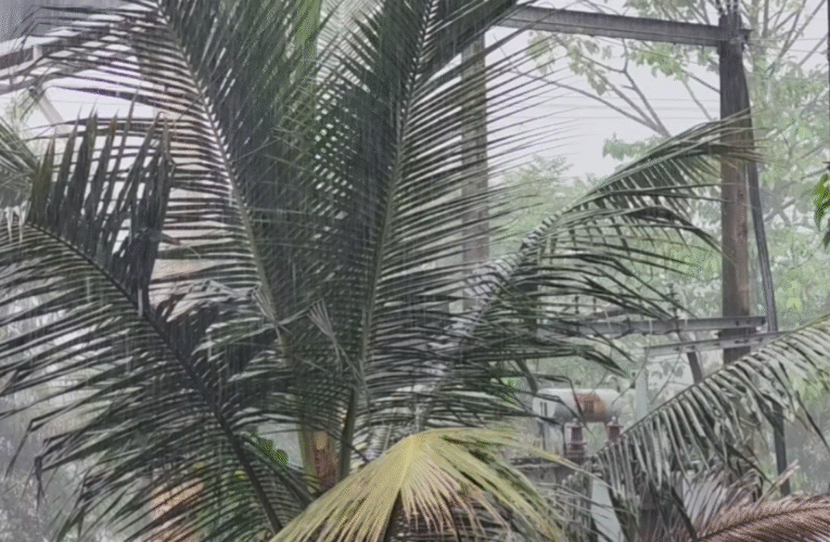 झारखंड की राजधानी रांची समेत अधिकांश जिलों में बारिश की संभावना, गर्मी से मिल सकती है राहत