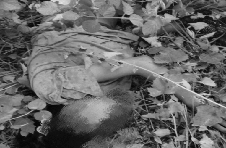 पलामू में जंजीर से बंधी लड़की का शव बरामद, हत्या की आशंका