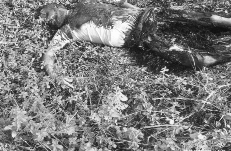 एयरपोर्ट थाना क्षेत्र में युवक का जला हुआ शव बरामद, पुलिस जांच में जुटी