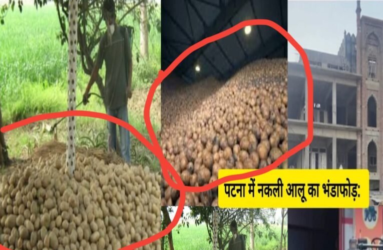 त्योहार के सीजन में पुराने आलू से नए आलू बनाने का चल रहा था गोरखधंधा, गेरुआ मिट्टी और केमिकल से बनाए जा रहे थे ‘नए आलू’, दो ट्रक जब्त
