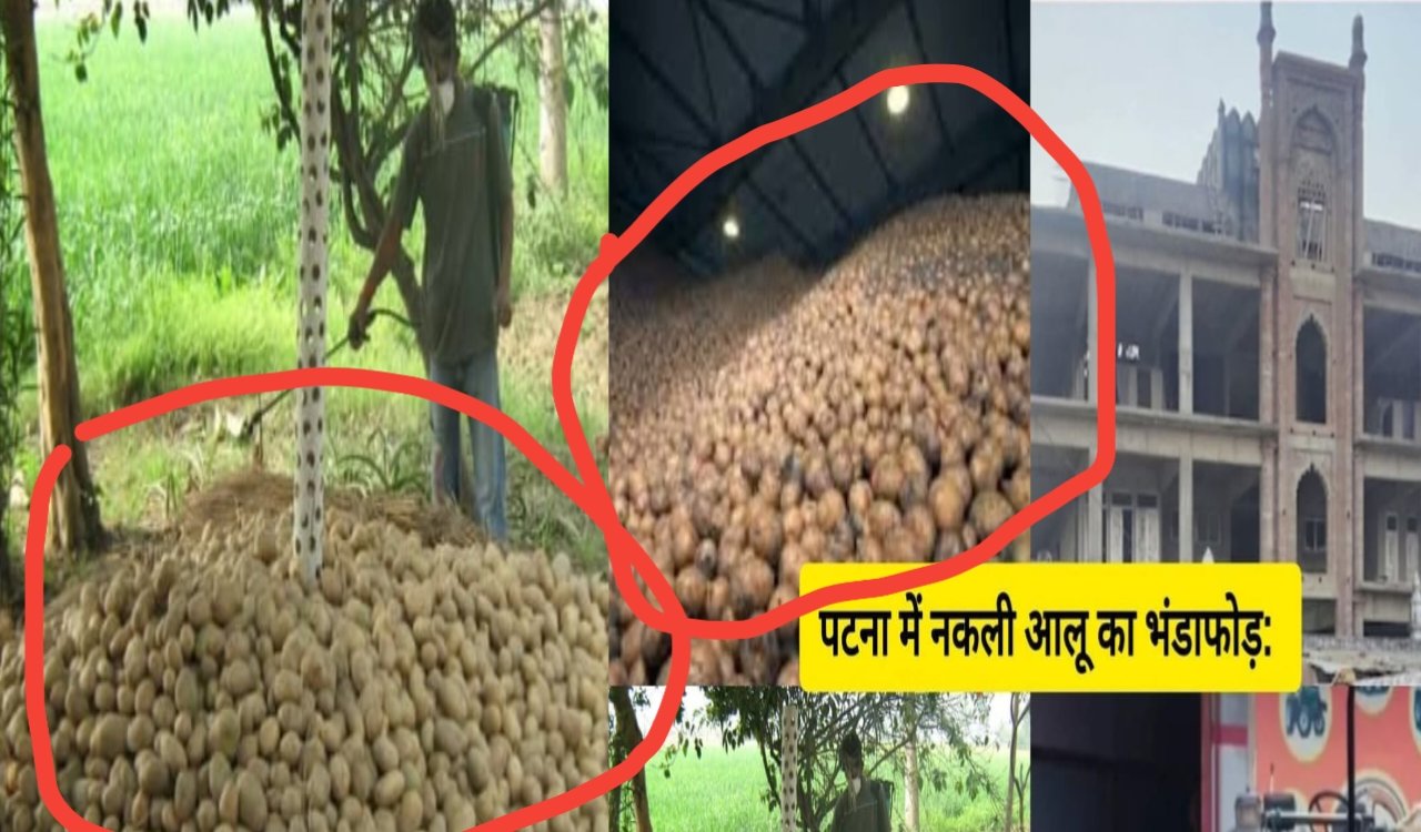 त्योहार के सीजन में पुराने आलू से नए आलू बनाने का चल रहा था गोरखधंधा, गेरुआ मिट्टी और केमिकल से बनाए जा रहे थे 'नए आलू', दो ट्रक जब्त 6 20250926 112247