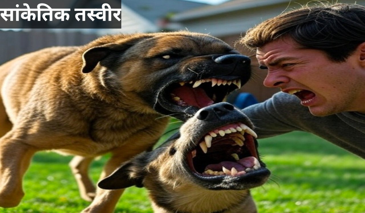 रांची के तमाड़ में पागल कुत्ते का आतंक: 17 लोग घायल, इलाके में दहशत का माहौल 6 20250926 121117