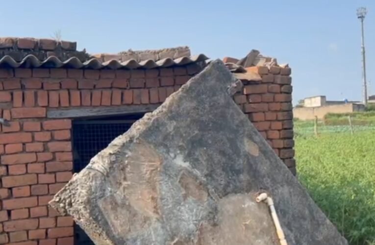 लातेहार के नगड़ा गांव में जंगली हाथियों का तांडव: फसलें तबाह, पशुधन का नुकसान