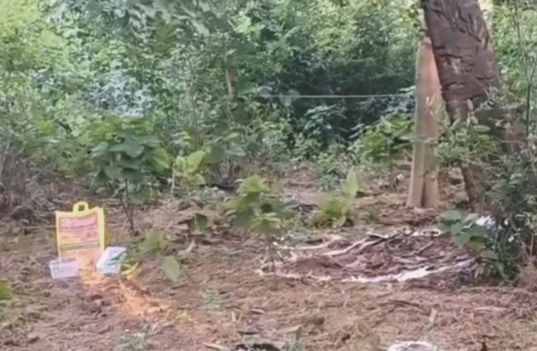 धनबाद में पुलिस और प्रिंस खान गिरोह के बीच मुठभेड़, अपराधी भानु मांझी घायल