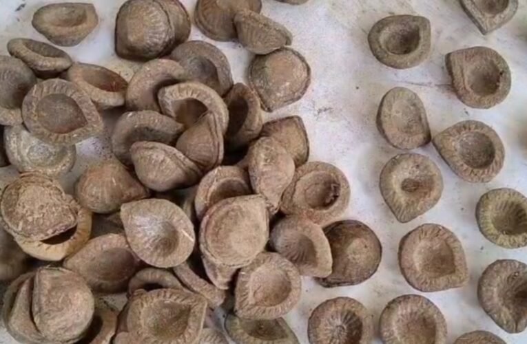 गोबर क्राफ्ट से रोशन हो रही ग्रामीण महिलाओं की उम्मीदें: कोडरमा में दीपावली और छठ के लिए इको-फ्रेंडली उत्पादों का निर्माण