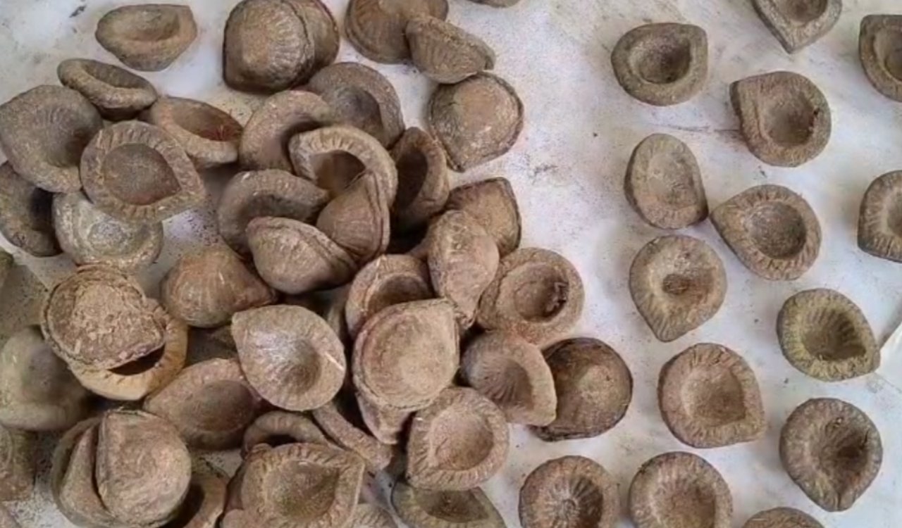 गोबर क्राफ्ट से रोशन हो रही ग्रामीण महिलाओं की उम्मीदें: कोडरमा में दीपावली और छठ के लिए इको-फ्रेंडली उत्पादों का निर्माण 20251018_095937