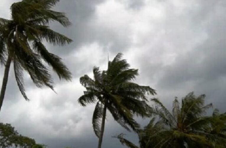 झारखंड में सर्दी की दस्तक: 1 नवंबर से तापमान में गिरावट, रांची समेत कई जिलों में कोहरा और हल्की बारिश की संभावना