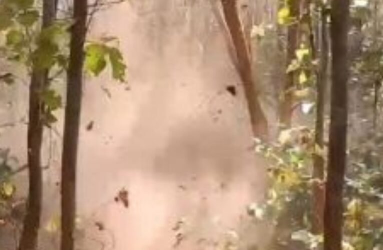 सारंडा जंगल में आईईडी विस्फोट से 10 वर्षीय बच्ची की मौत