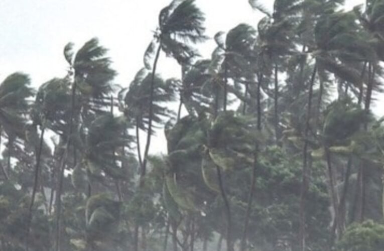 चक्रवाती तूफान ‘दितवाह’ कमजोर, तमिलनाडु में 3 लोगों की मौत, 149 मवेशियों की गई जान; पुडुचेरी में सोमवार को सभी स्कूल-कॉलेज बंद