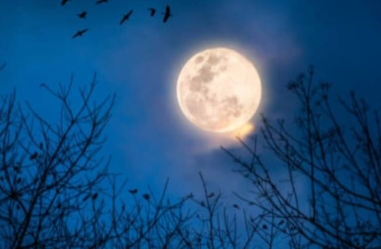 आज रात चमकेगा ‘कोल्ड सुपरमून’: 2025 की आखिरी पूर्णिमा का शानदार नजारा, जानें समय और देखने का तरीका