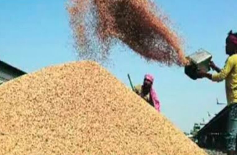 झारखंड: 15 दिसंबर से शुरू होगी धान खरीद, किसानों को मिलेंगे 2450 रुपये प्रति क्विंटल, 48 घंटे में खाते में पूरा पैसा