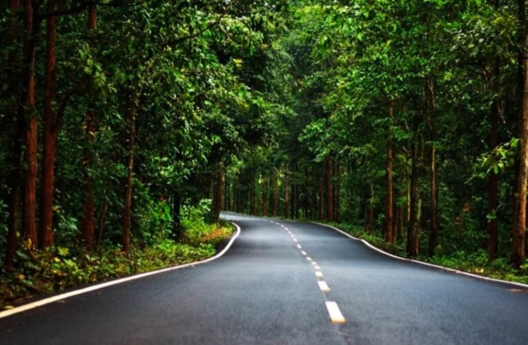 सारंडा जंगल में नक्सली आईईडी विस्फोट: कोबरा बटालियन का जवान गंभीर रूप से घायल