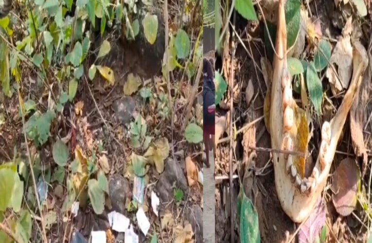धनबाद के तोपचांची में नक्सल प्रभावित पहाड़ी पर मिला मानव कंकाल, इलाके में दहशत