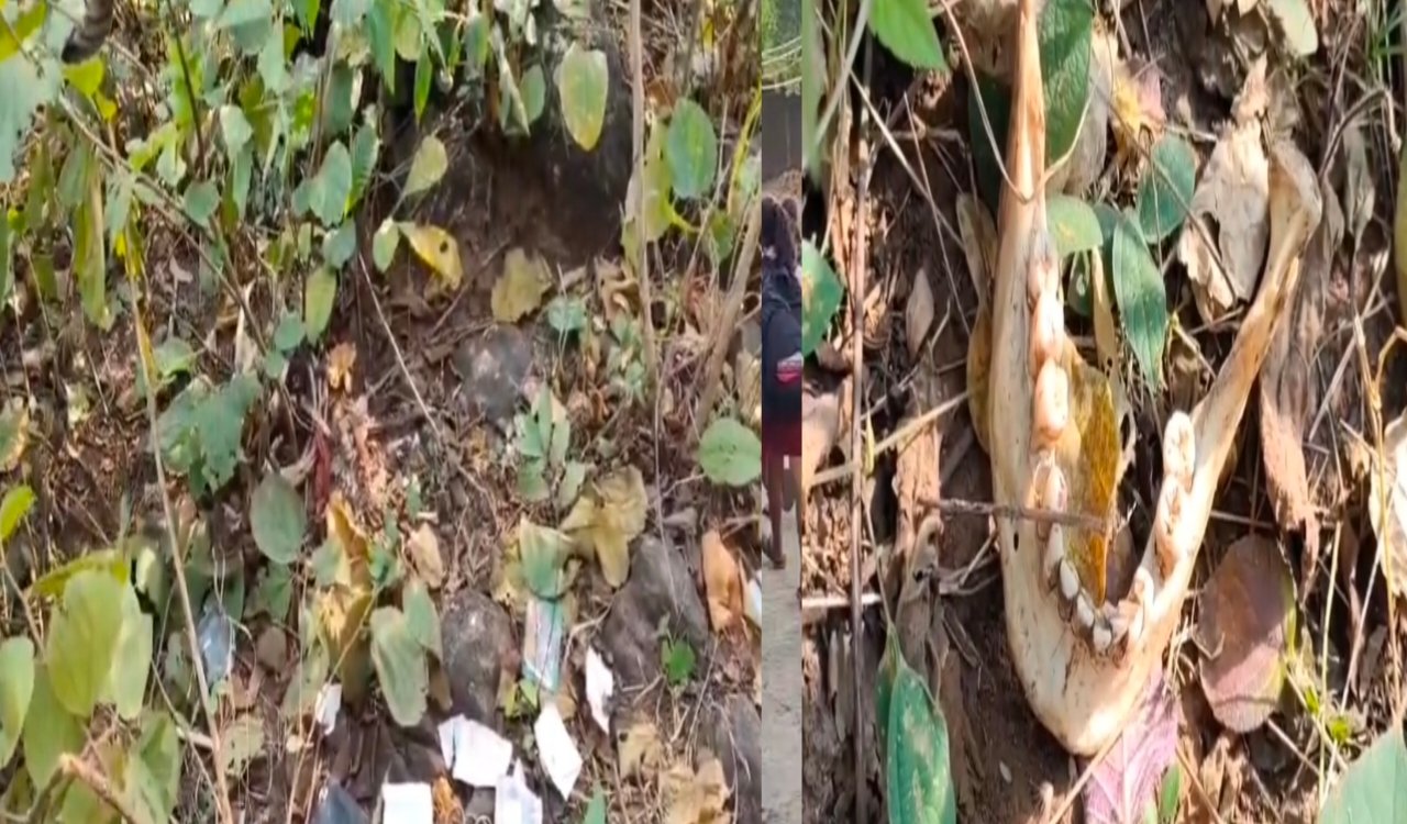 धनबाद के तोपचांची में नक्सल प्रभावित पहाड़ी पर मिला मानव कंकाल, इलाके में दहशत 20251216_113423