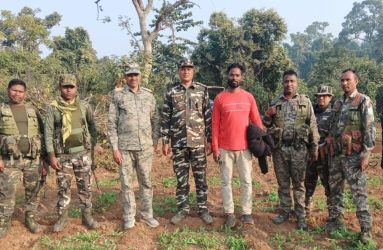 पलामू: पांकी थाना क्षेत्र में 5 एकड़ वन भूमि पर अवैध अफीम की खेती नष्ट, पुलिस-वन विभाग की संयुक्त कार्रवाई