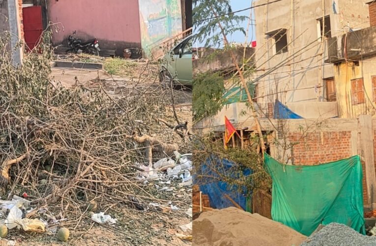 सिमडेगा नगर परिषद क्षेत्र में सरकारी जमीन पर अवैध निर्माण बेखौफ जारी, पुराना बेल वृक्ष भी काटा