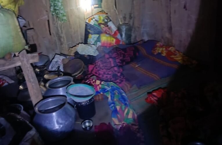 पश्चिमी सिंहभूम में जंगली हाथी का कहर: एक ही परिवार के तीन लोगों की मौत, बच्ची गंभीर रूप से घायल