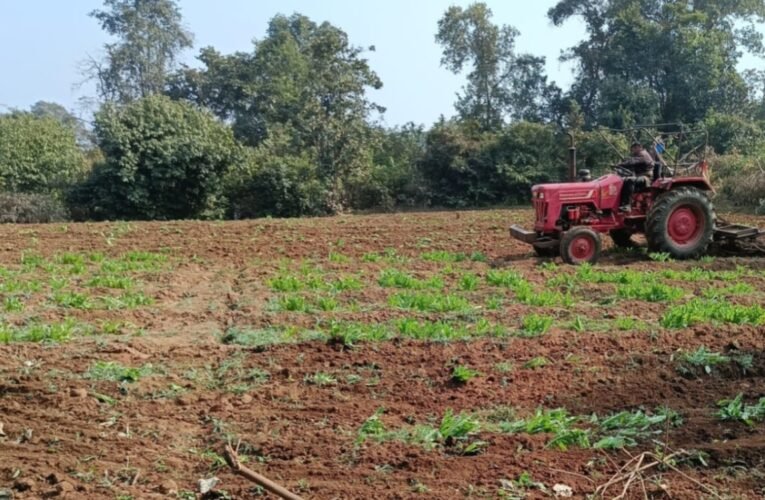 चतरा पुलिस ने 31 एकड़ अवैध अफीम की खेती को किया नष्ट, दोषियों की तलाश जारी