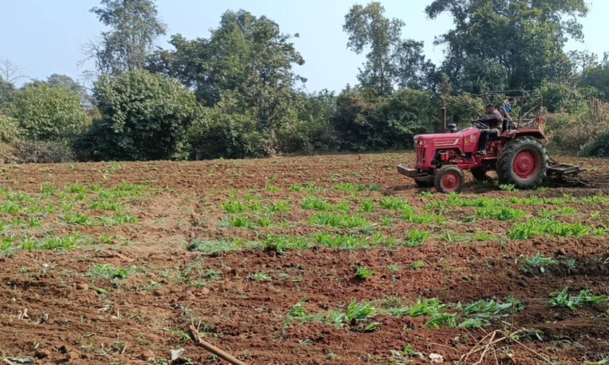 चतरा पुलिस ने 31 एकड़ अवैध अफीम की खेती को किया नष्ट, दोषियों की तलाश जारी 3 20260112 220156