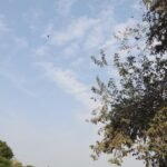 रांची सहित झारखंड में आज का मौसम: खिली धूप, हल्की धुंध के साथ सुहाना दिन 20260123_063354