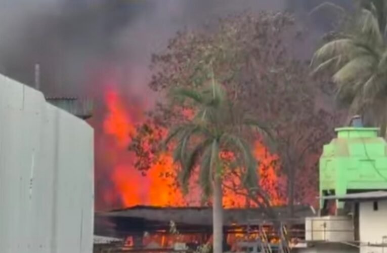 नवी मुंबई के MIDC पवणे में केमिकल फैक्ट्री में लगी भीषण आग, अफरा-तफरी का माहौल