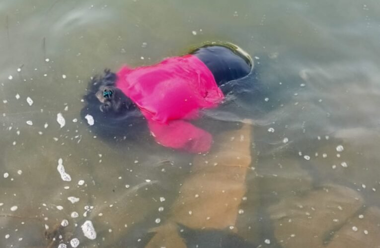 रांची: धुर्वा (हटिया) डैम से युवती का शव बरामद, पहचान के प्रयास जारी – पुलिस जांच में जुटी