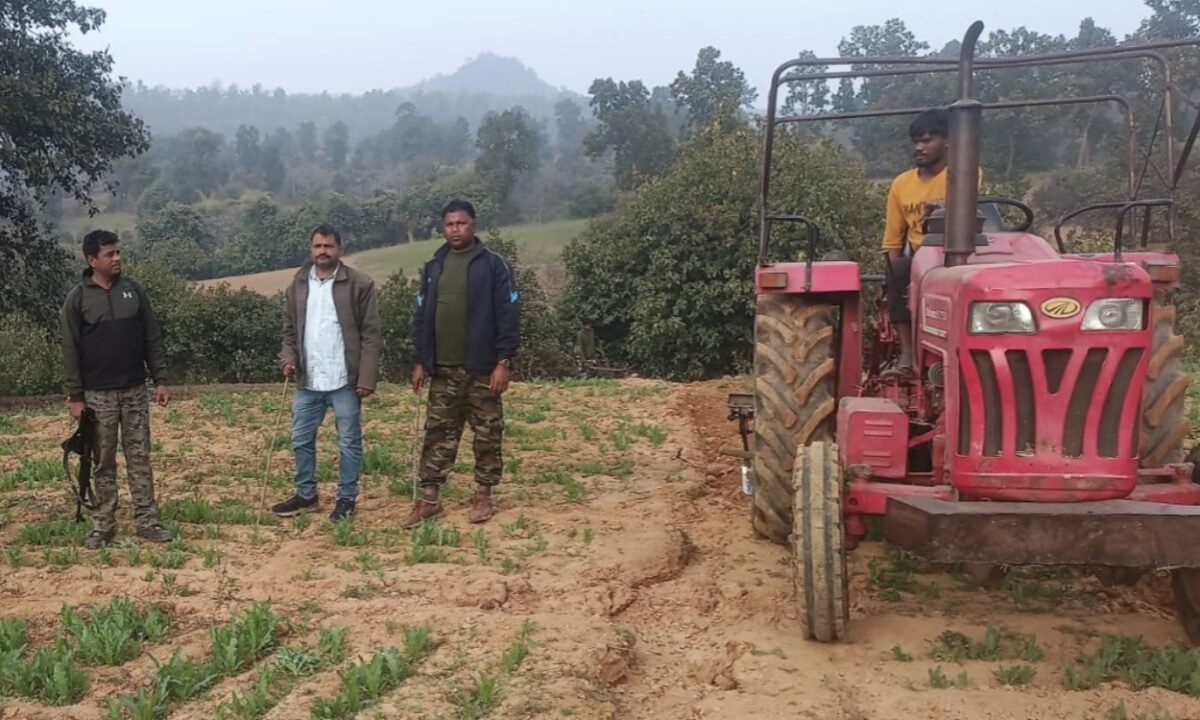 चतरा पुलिस ने 31 एकड़ अवैध अफीम की खेती को किया ध्वस्त, शुरुआती चरण में ही कार्रवाई 40 20260130 152744