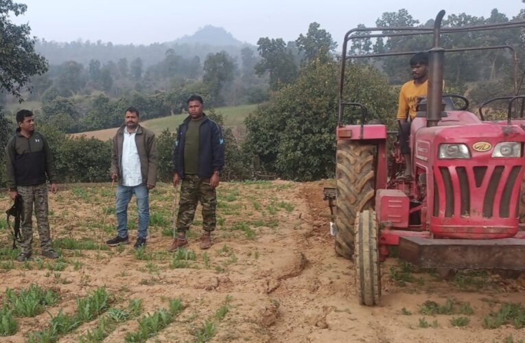 चतरा पुलिस ने 31 एकड़ अवैध अफीम की खेती को किया ध्वस्त, शुरुआती चरण में ही कार्रवाई 26 20260130 152744
