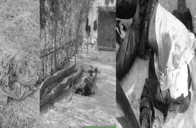 झारखंड के पलामू जिले में डायन-बिसाही के अंधविश्वास ने फिर ली तीन जिंदगियां: एक परिवार तबाह