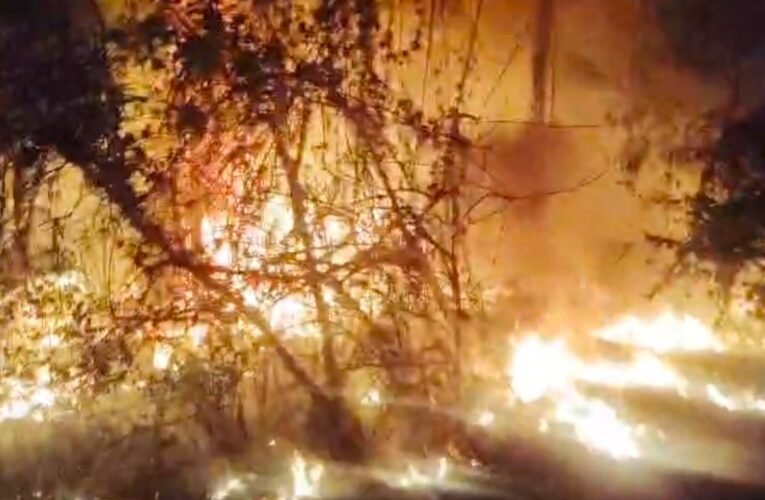 जमशेदपुर की बंद पड़ी केबल कंपनी में फिर लगी आग, असामाजिक तत्वों पर संदेह; दमकल ने काबू