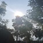 झारखंड में ठंड की विदाई, तापमान 28-30 डिग्री तक पहुंचने की उम्मीद! रांची में धूप खिली रहेगी 20260216_083240