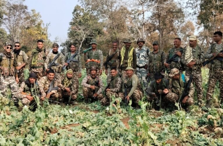 पलामू पुलिस की बड़ी कार्रवाई: मनातू और उंटारी में 8 एकड़ अवैध अफीम/पोस्ता की खेती नेस्तनाबूद 17 20260221 203110