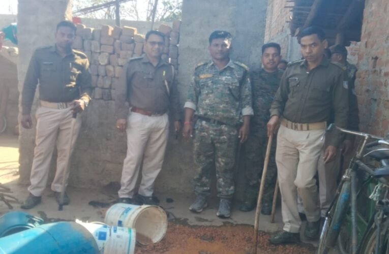 अवैध देसी शराब पर प्रशासन की बड़ी कार्रवाई: 550 किलो जावा महुआ मौके पर नष्ट 22 20260227 204408