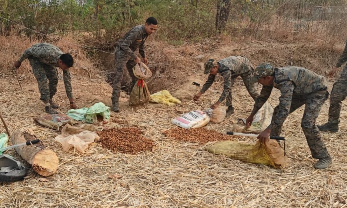 होली से पहले बड़ी कार्रवाई: 800 किलो जावा महुआ और 40 लीटर अवैध महुआ शराब जब्त 11 20260302 211330