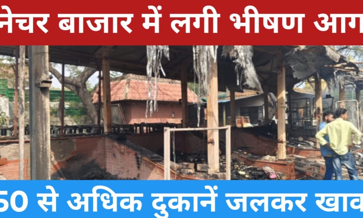 दक्षिण दिल्ली के अंधेरिया मोड़ में नेचर बाजार में लगी भीषण आग: 50 से अधिक दुकानें जलकर खाक, दमकल की 10 गाड़ियां मौके पर 49 20260315 120029