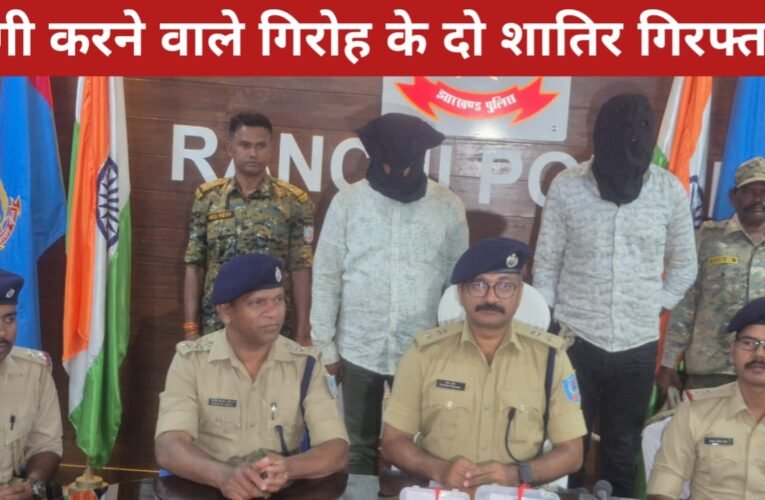 ATM कार्ड बदलकर ठगी करने वाले गिरोह के दो शातिर गिरफ्तार, फर्जी नंबर प्लेट वाली पल्सर और कई कार्ड बरामद 18 20260315 205255