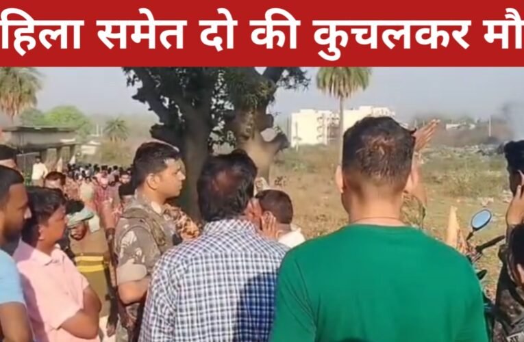 कोडरमा में हाथियों का आतंक: महिला समेत दो की कुचलकर मौत, इलाके में दहशत 23 20260326 101744